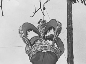 Die Krone zum Kirchweihfest.